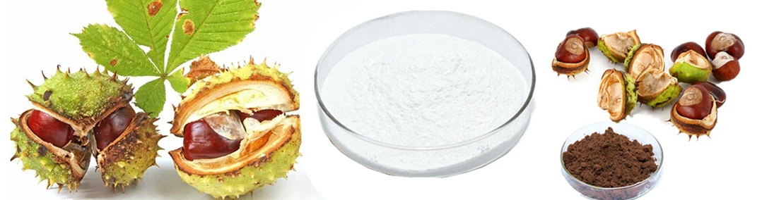 horse chestnut extract powder.jpg